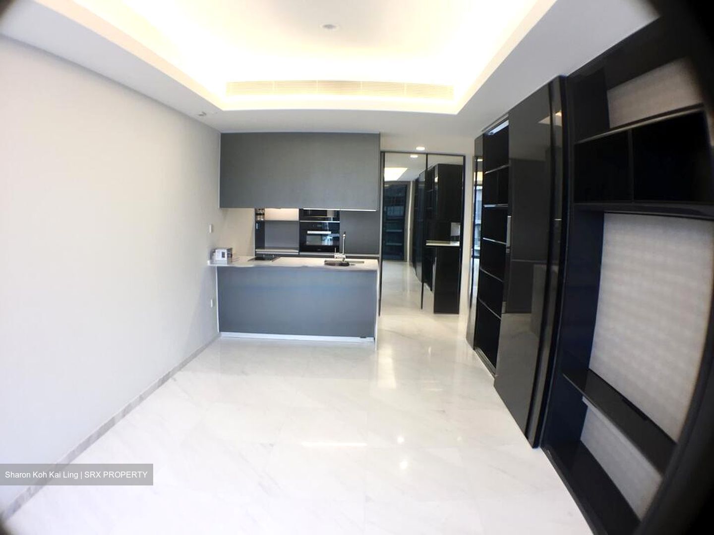 Cairnhill Nine (D9), Apartment #483047971